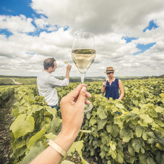Dégustation dans les vignes