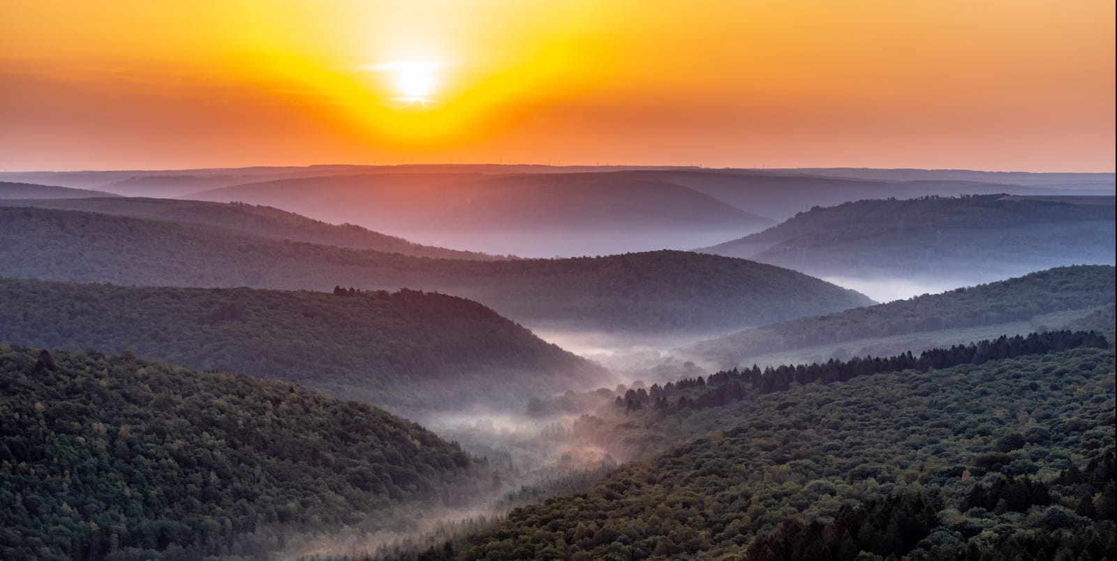 Paysage des Ardennes