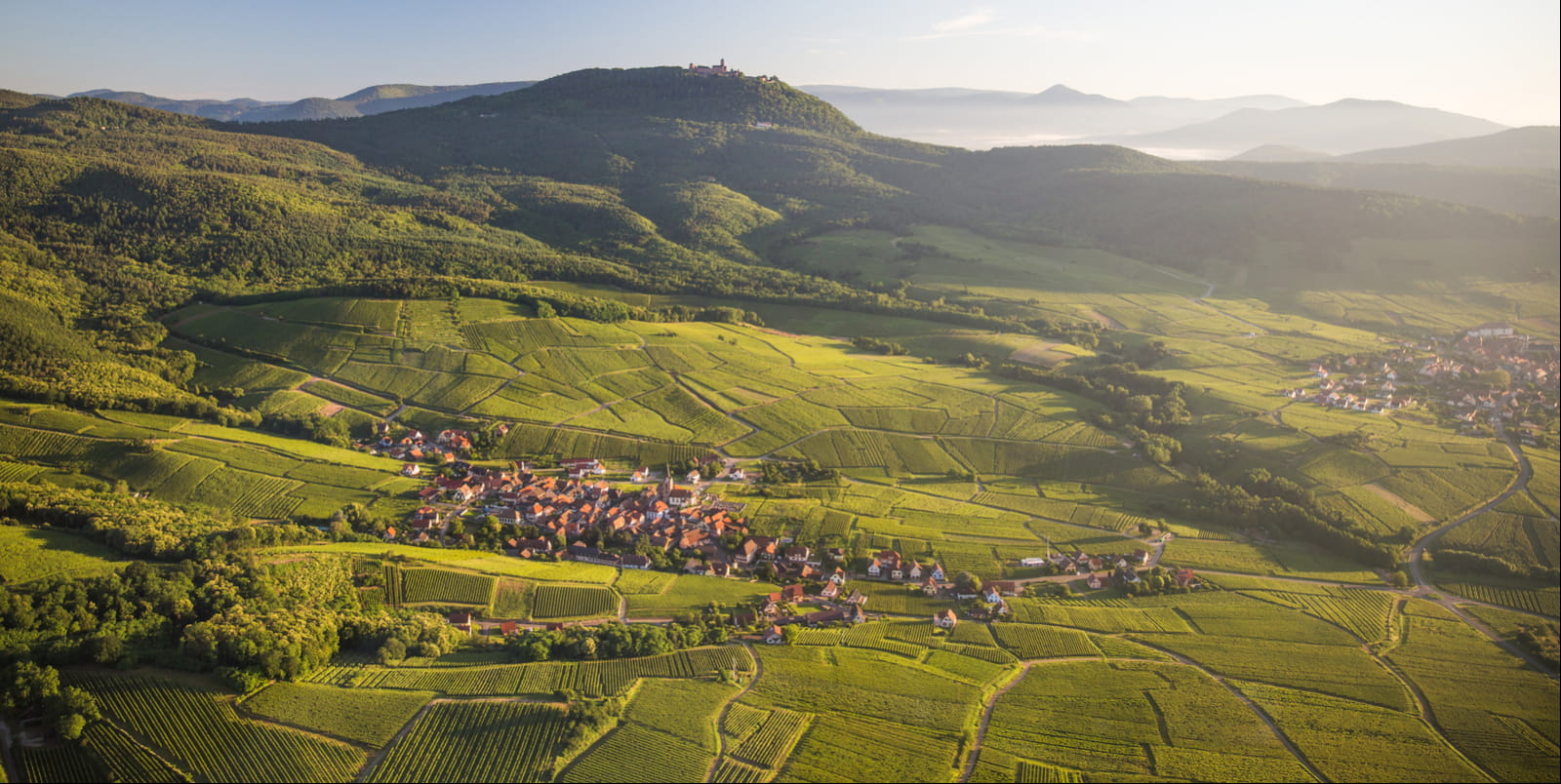 Route des Vins d'Alsace