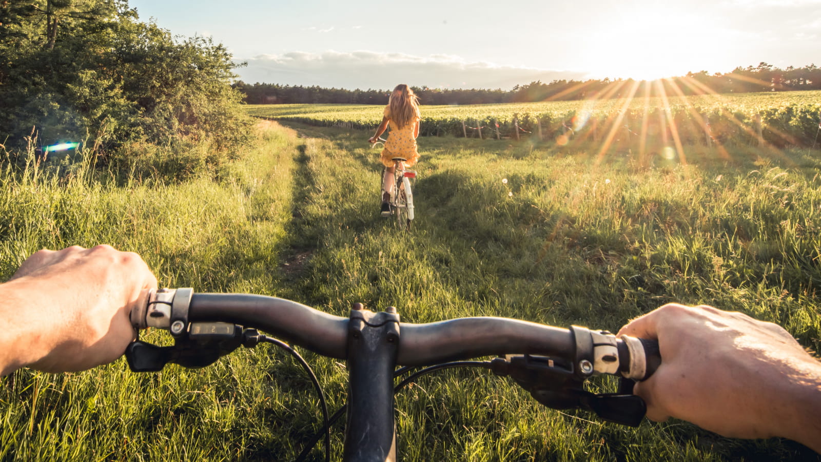 Vélo dans les vignes