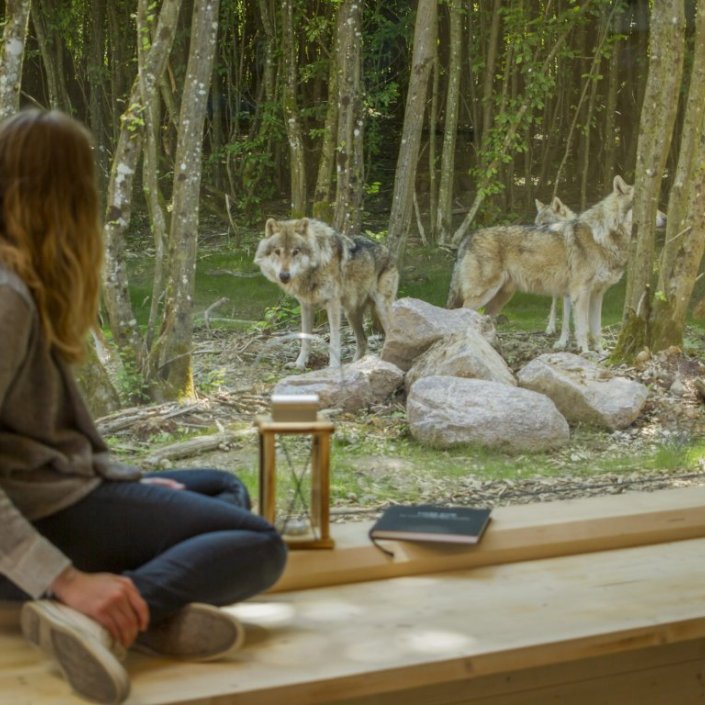 Hameau des loups - Parc de Sainte-Croix