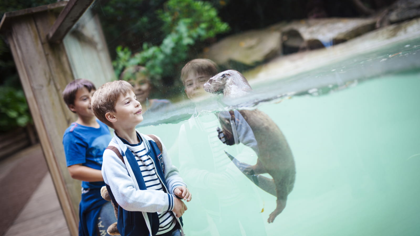 Zoo d'Amneville
