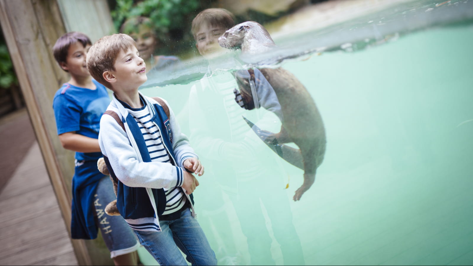 Zoo d'Amneville