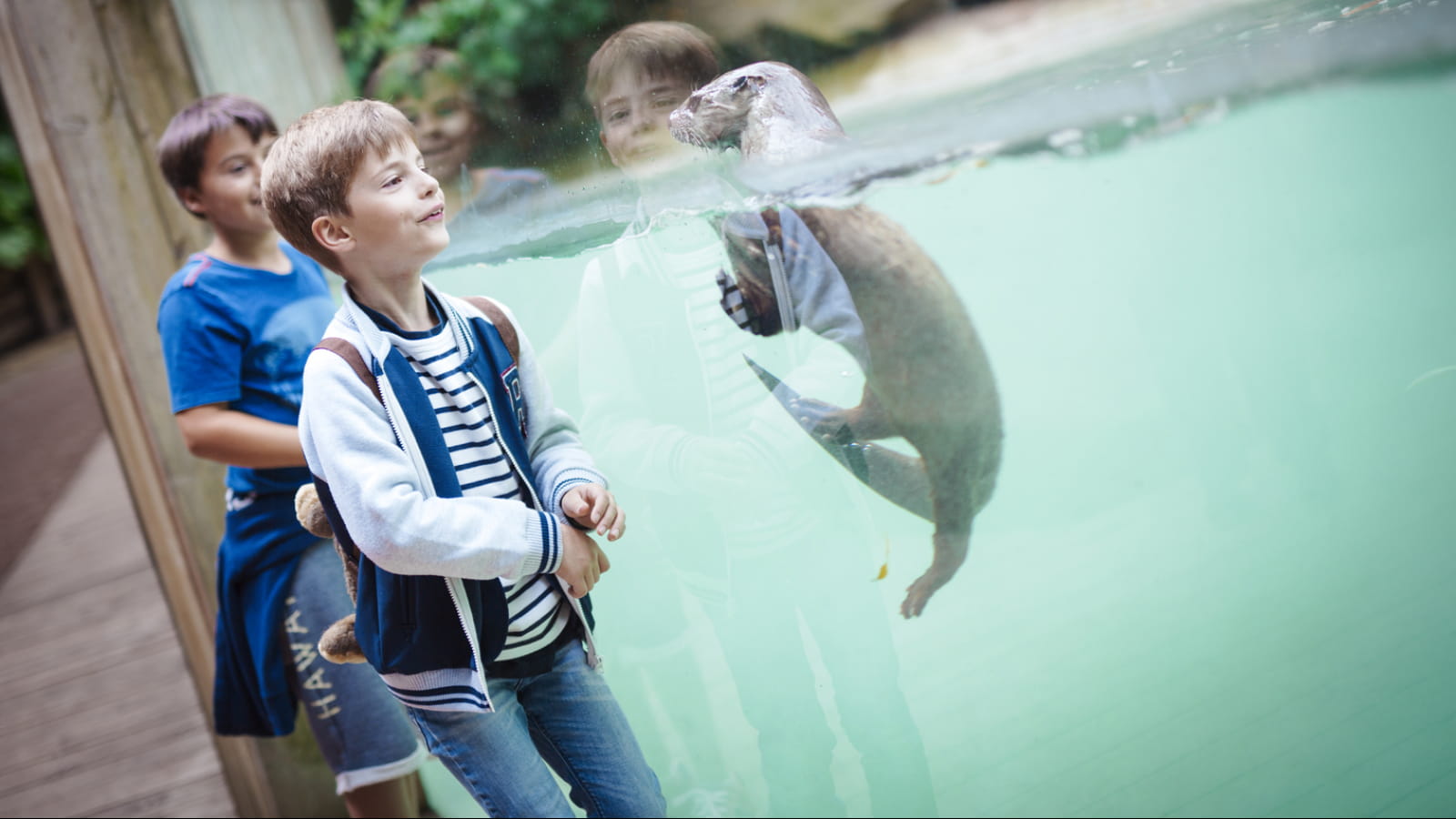 Zoo d'Amneville