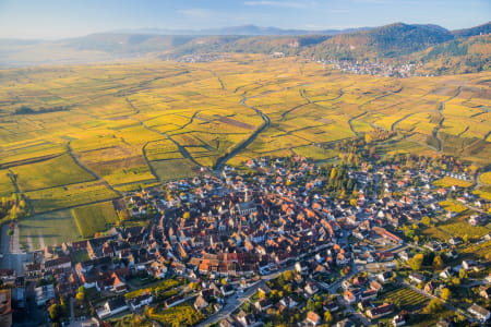 Eguisheim et le vignoble