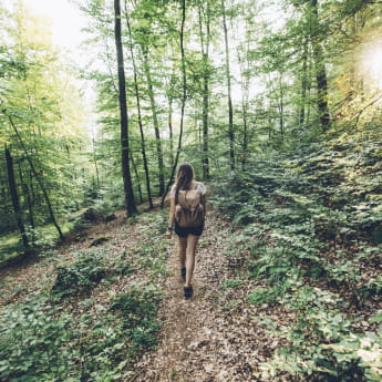 Randonnée en forêt