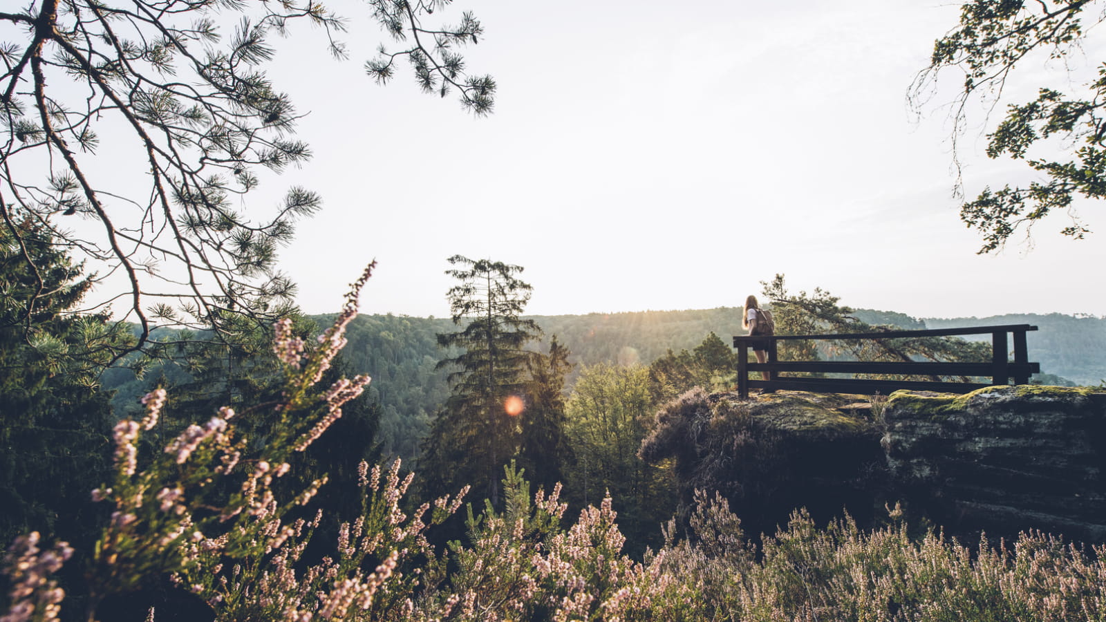 Rocher du Saut du Chien - La Petite Pierre