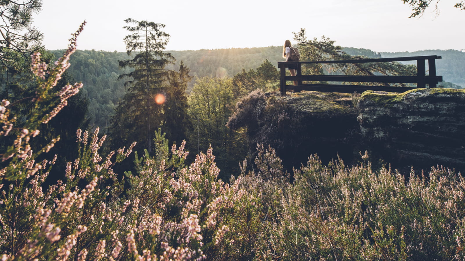Rocher du Saut du Chien - La Petite Pierre