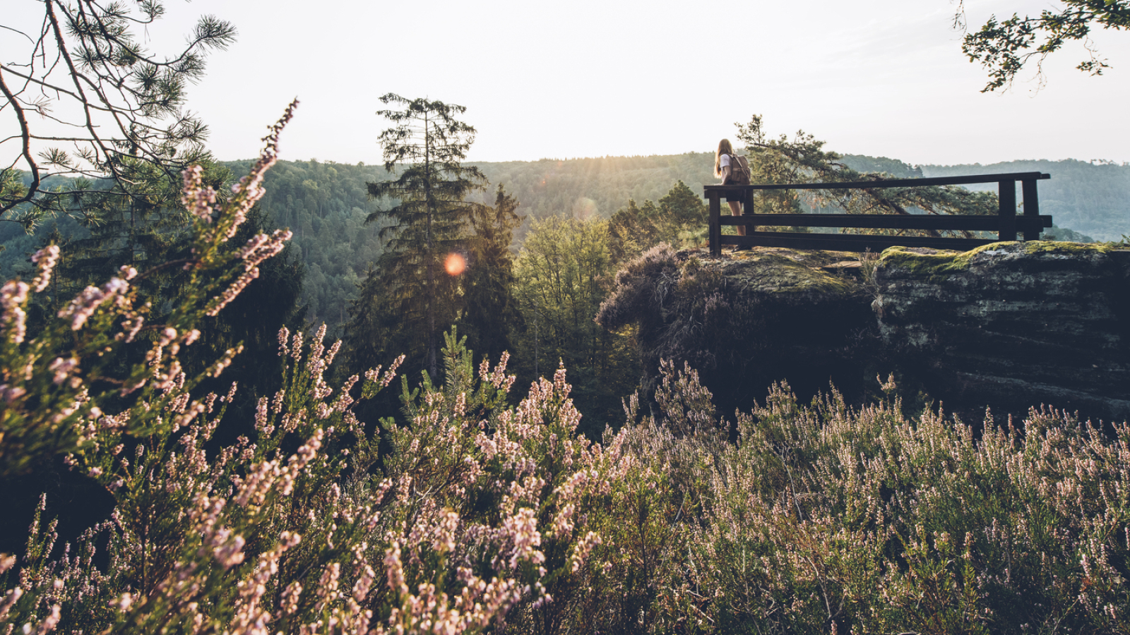 Rocher du Saut du Chien - La Petite Pierre