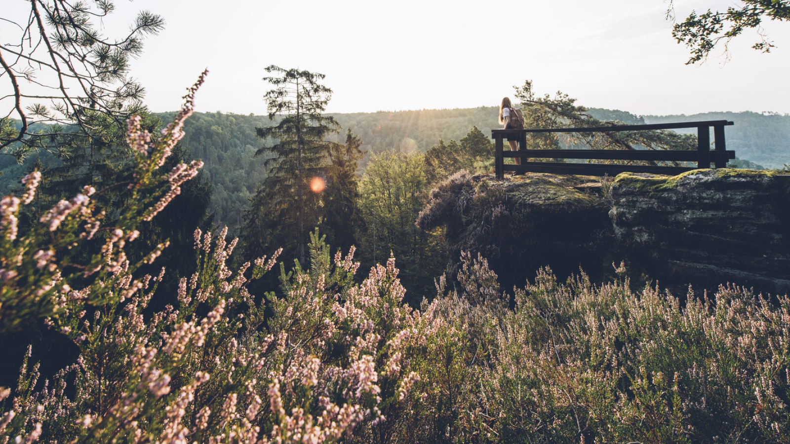 Rocher du Saut du Chien - La Petite Pierre