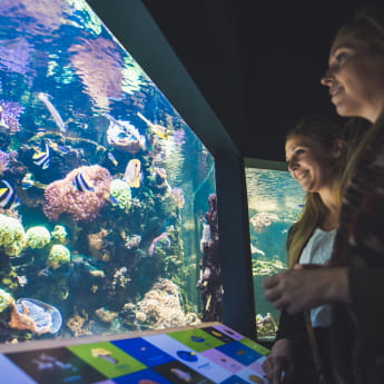 Muséum Aquarium de Nancy