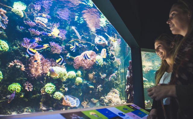 Muséum Aquarium de Nancy