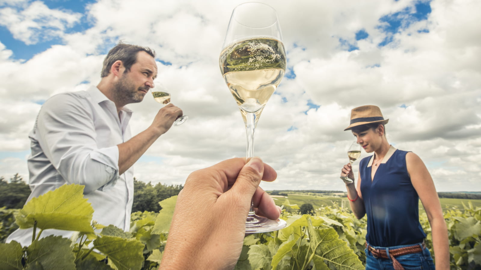 Dégustation dans les vignes de Champagne