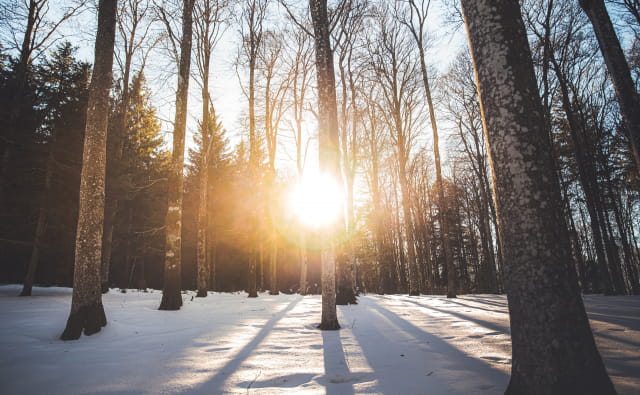 Randonnée raquettes