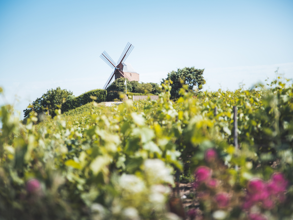Moulin de Verzenay