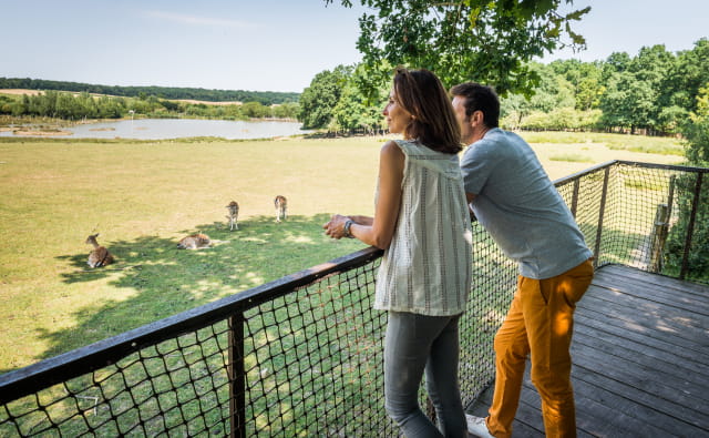 Parc animalier de Sainte-Croix