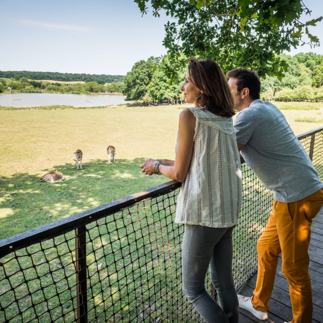 Parc animalier de Sainte-Croix