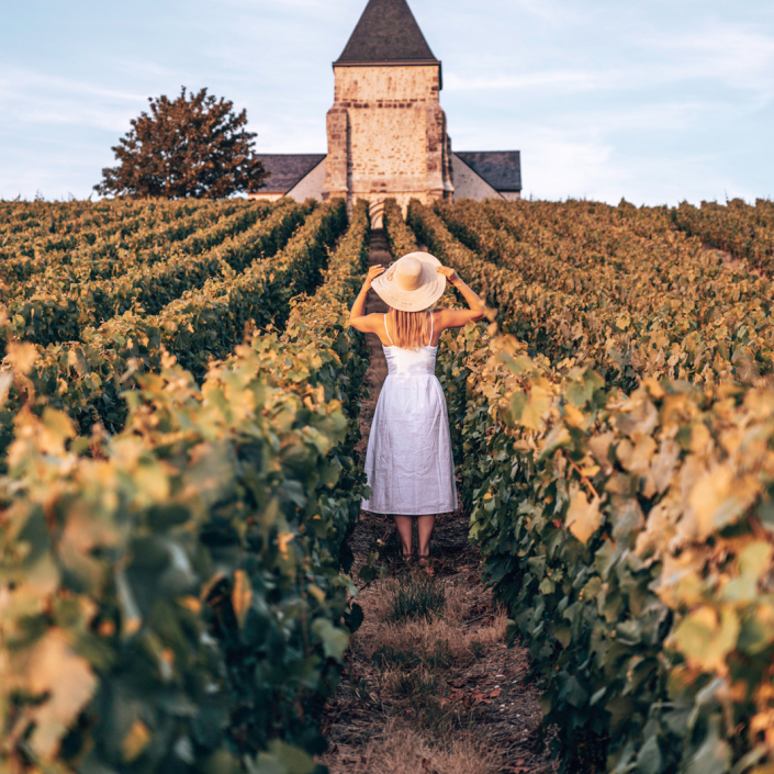 Les vignobles de champagne