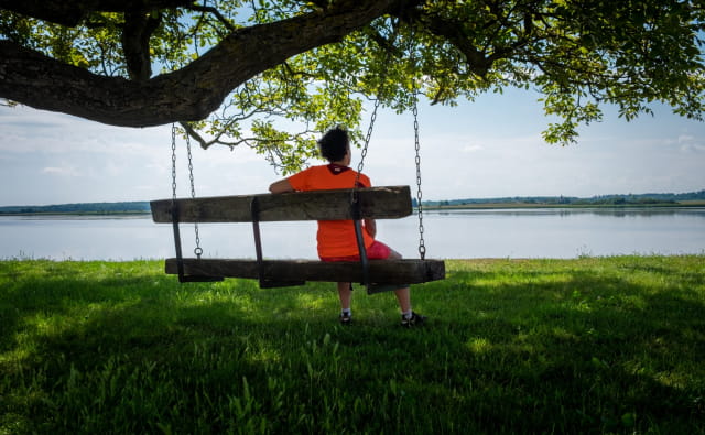 Vue sur étang de Lindre avec banc accroché à un arbre