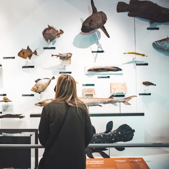 Muséum Aquarium de Nancy