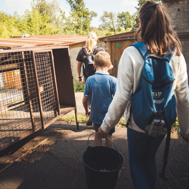 Soigneur d&#039;un jour au zoo d&#039;Amnéville