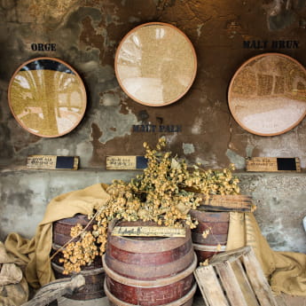 Matières premières de la bière