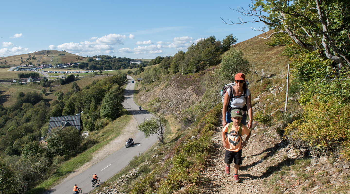 Rando route des crêtes près du Markstein