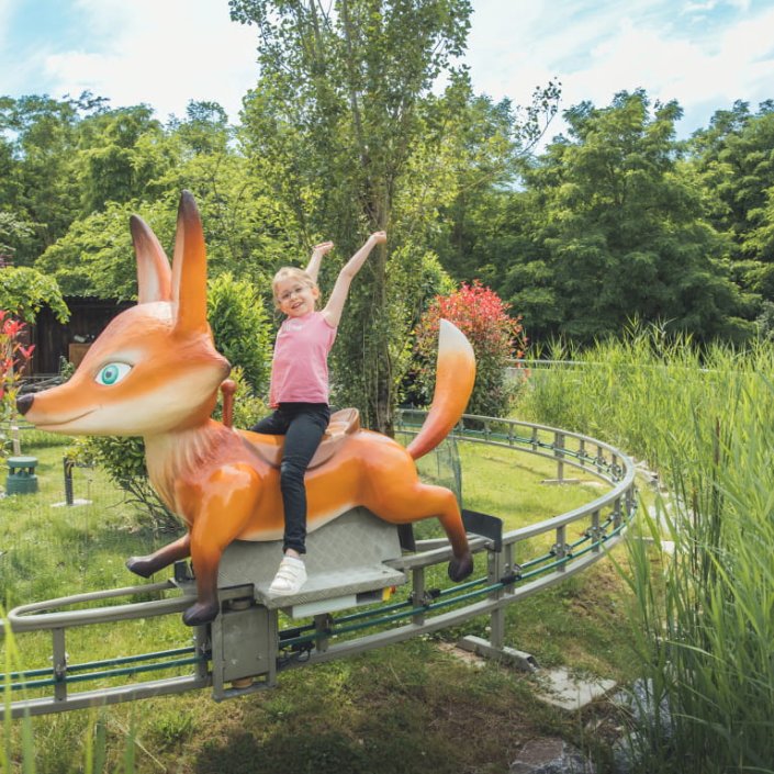 Manège renard parc du petit prince