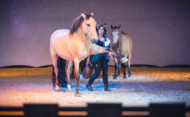 Théâtre Equestre de Champagne