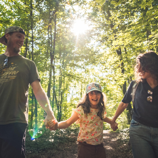Balade dans le bois Le Prêtre à Pont-à-Mousson