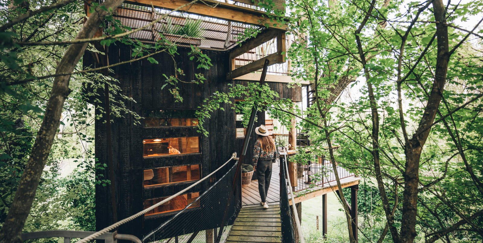 Cabane nature dans les arbres
