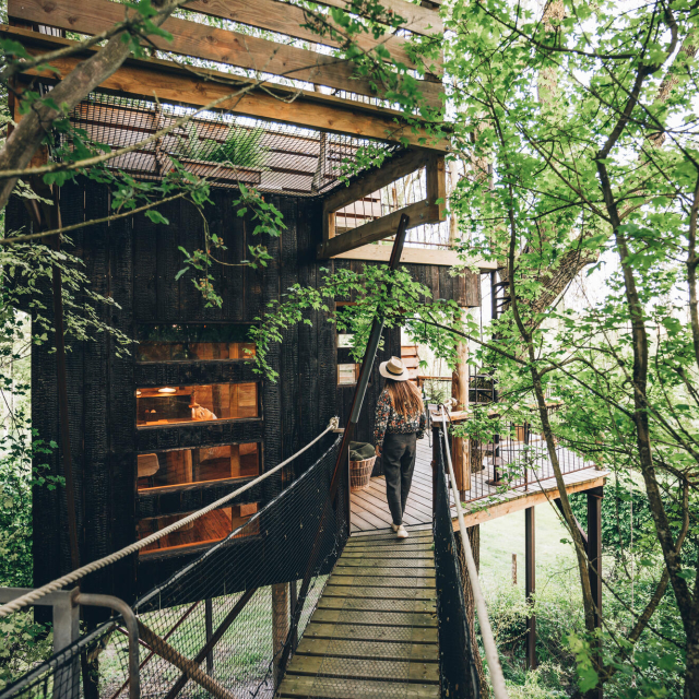 Cabane nature dans les arbres
