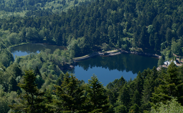 Lac du Neuweiher