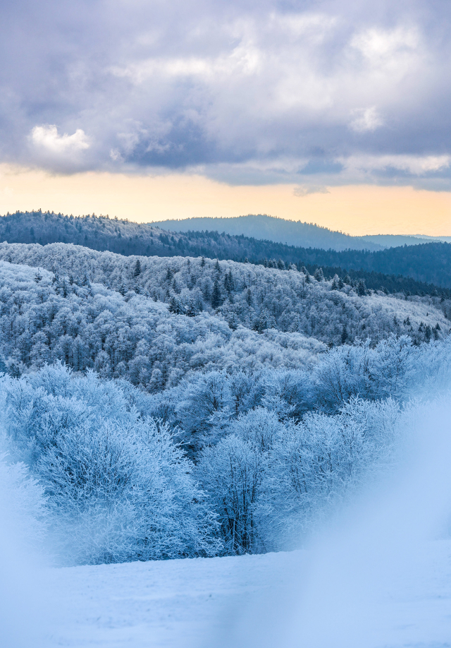 Massif des Vosges en hiver