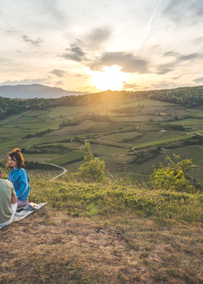 Vue des vignobles alsaciens