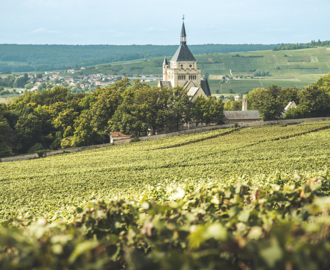 Mémorial de Dormans 14-18