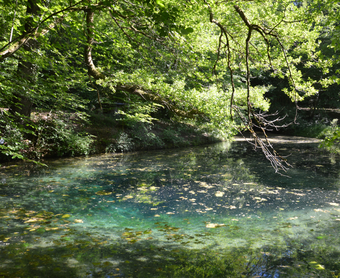 La Source Bleue à Villiers-sur-Marne