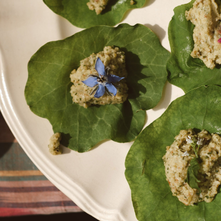 Grandfontaine - Aude à la Nature - Atelier cuisine et plantes - Dégustation