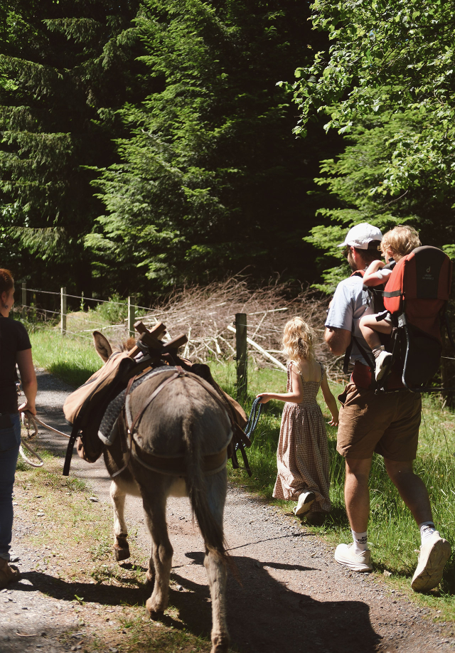 Luvigny - La Forêt An'imée - nature - balade avec les ânes