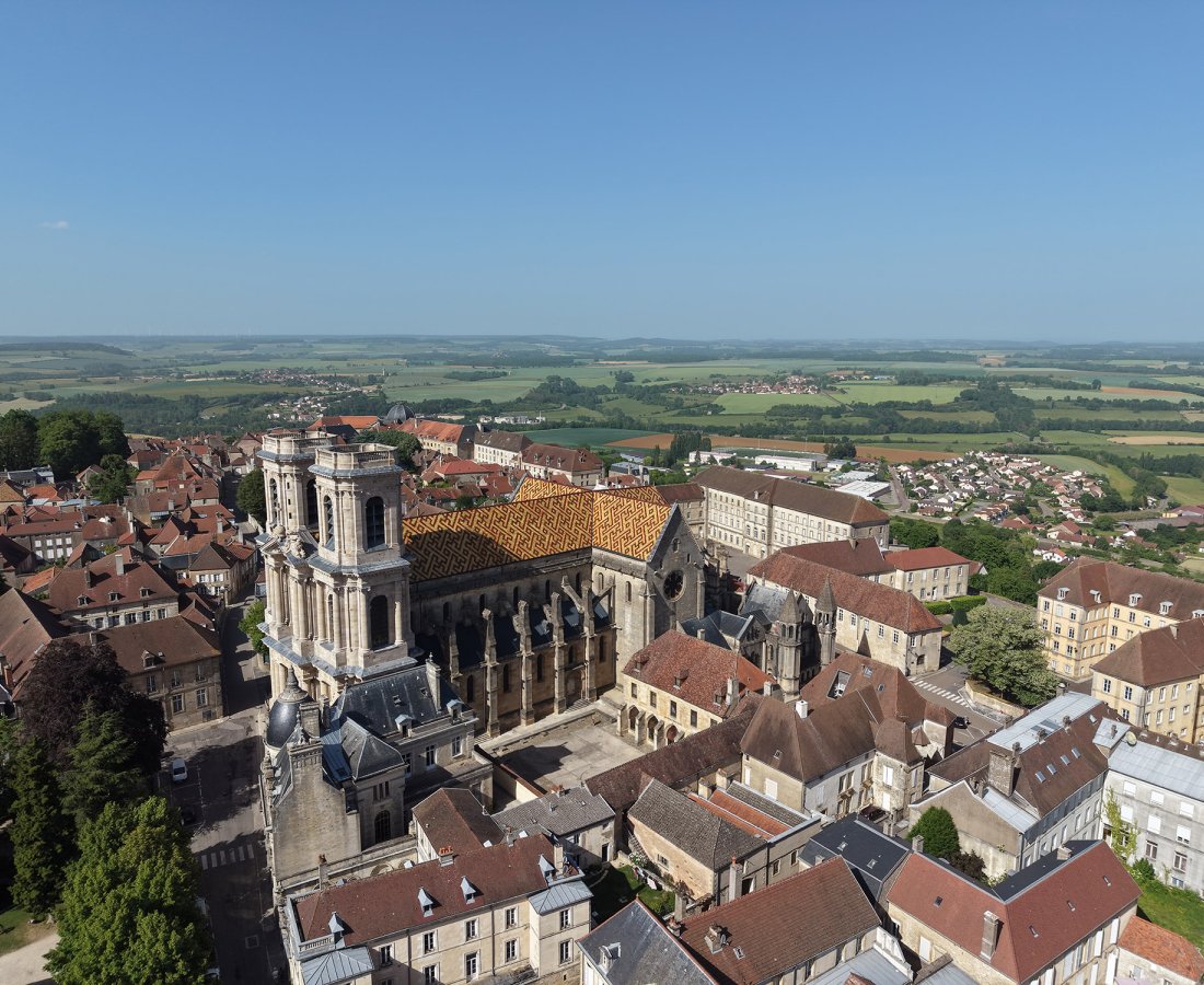 Cathédrale Saint Mammès de Langres - vue aérienne
