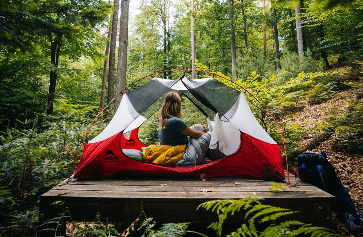 Bivouac en forêt