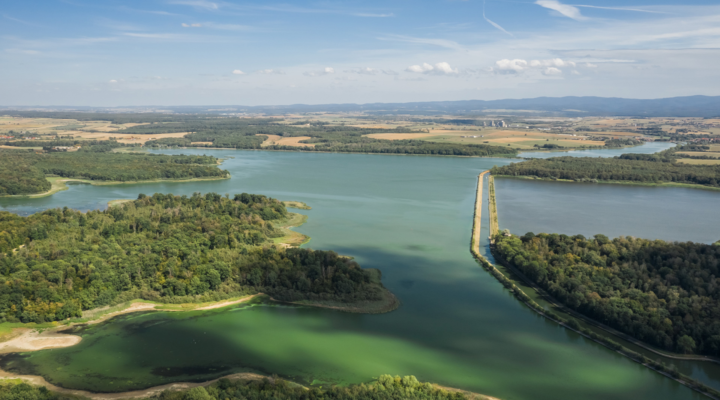 Etang de Gondrexange