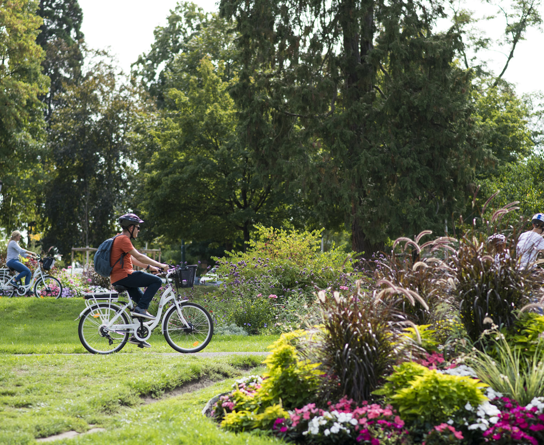 Vélo au Pays de Haguenau