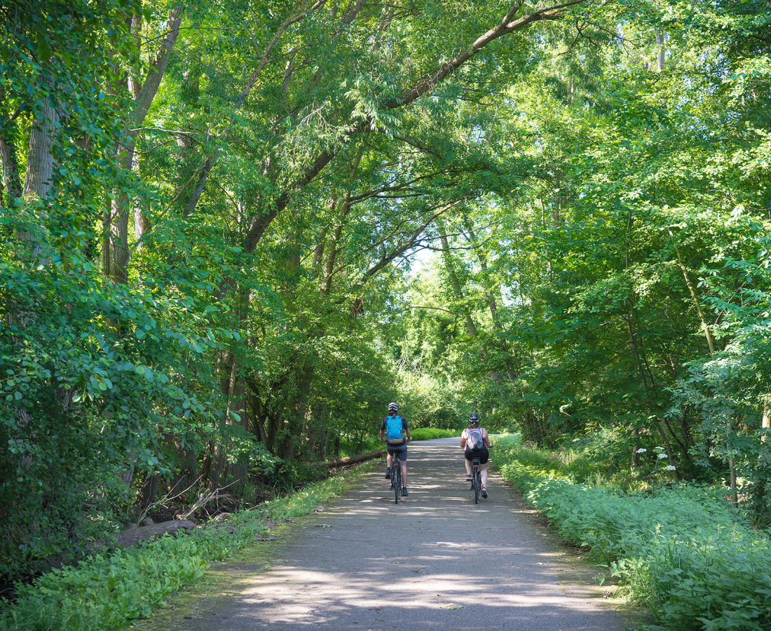 piste cyclable à Avolsheim