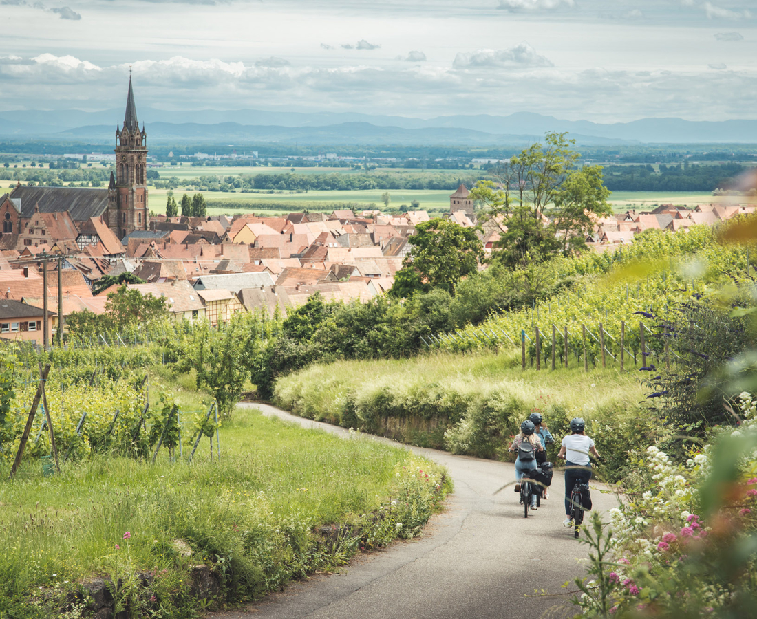 Balade en vélo à Dambach-la-ville