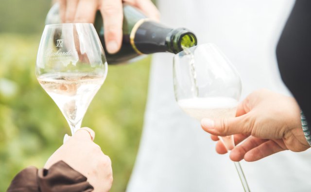 dégustation champagne dans les vignes