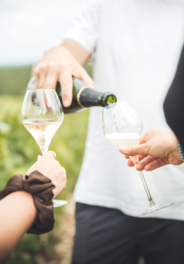 dégustation champagne dans les vignes