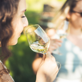 dégustation champagne dans les vignes