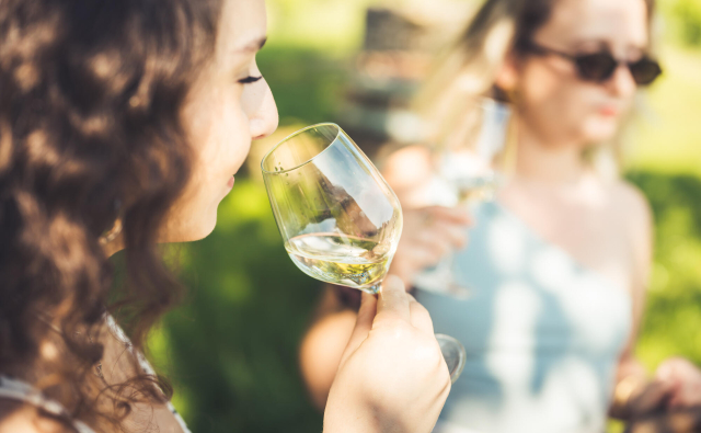 dégustation champagne dans les vignes