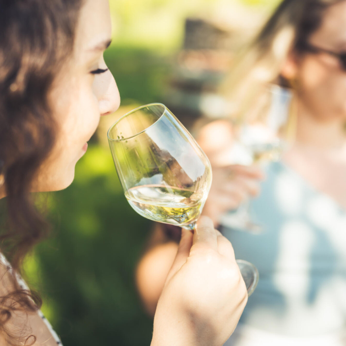 dégustation champagne dans les vignes
